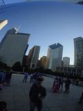 bean2.jpg image by devnull909
