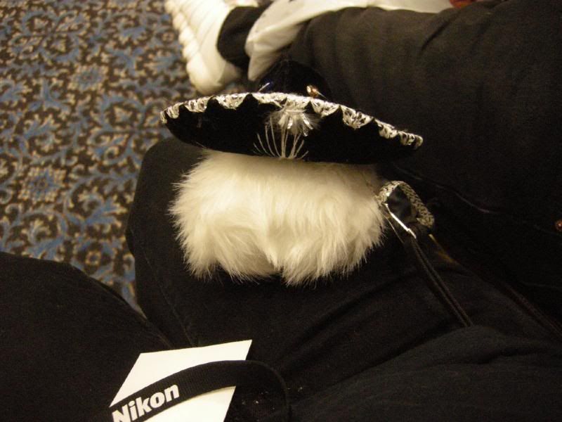 DSCN1613.jpg
