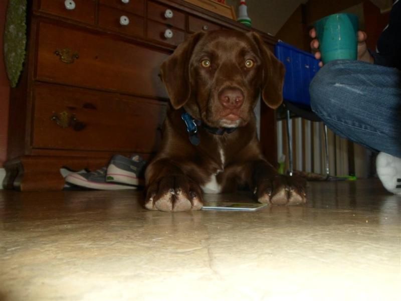 Photobucket