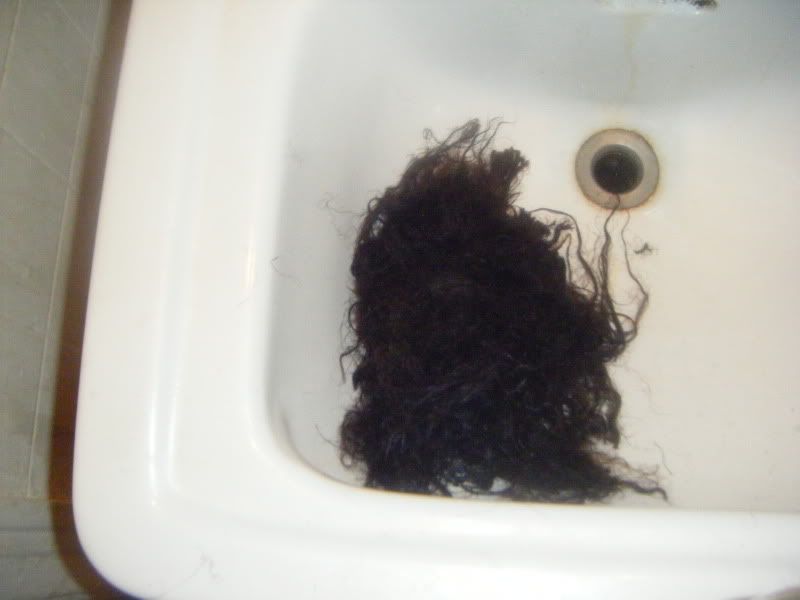 DSCF0887.jpg