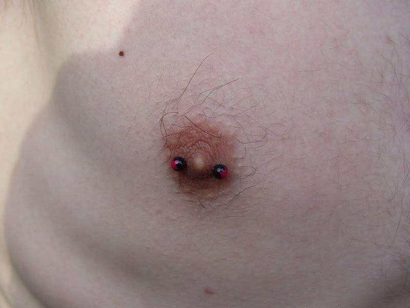 about nipple piercing. Marcus#39; Nipple Piercing 16g