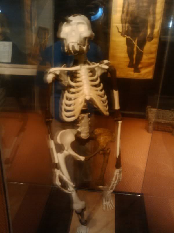 Lucy..recreated