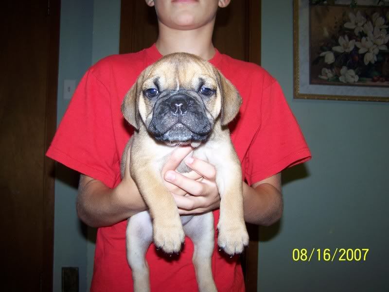 Image hosted by Photobucket.com