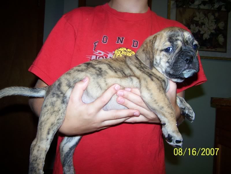 Image hosted by Photobucket.com