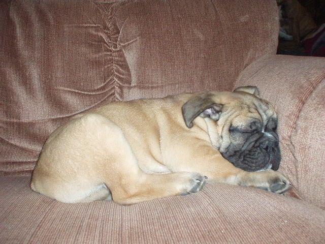 Image hosted by Photobucket.com