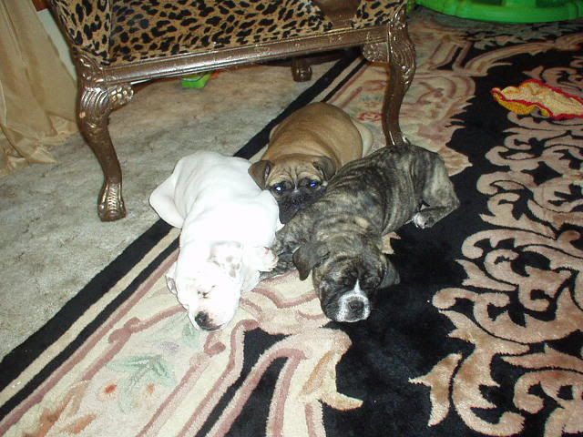 Image hosted by Photobucket.com