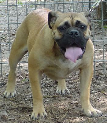 Image hosted by Photobucket.com