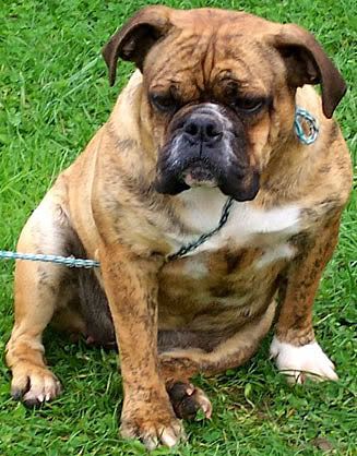 Image hosted by Photobucket.com