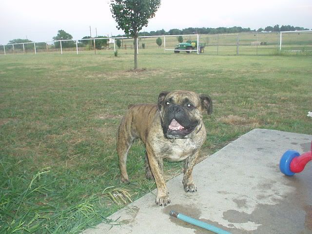 Image hosted by Photobucket.com