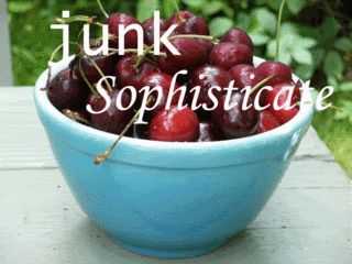 Junk Sophisticate