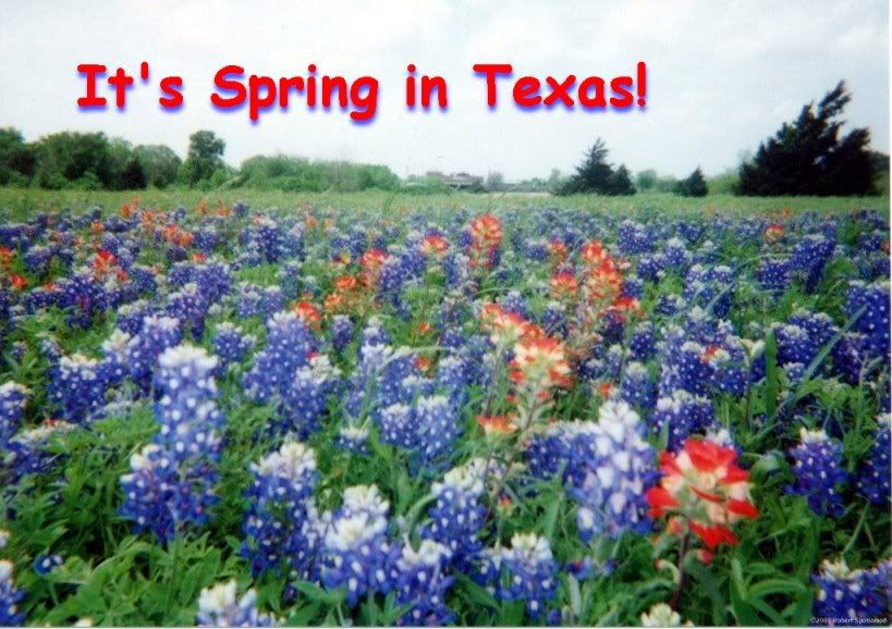 TexasRed is like a flower