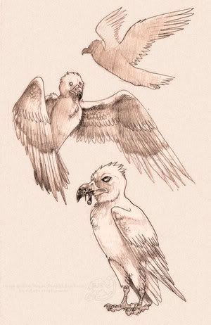 The Stymphalian Birds