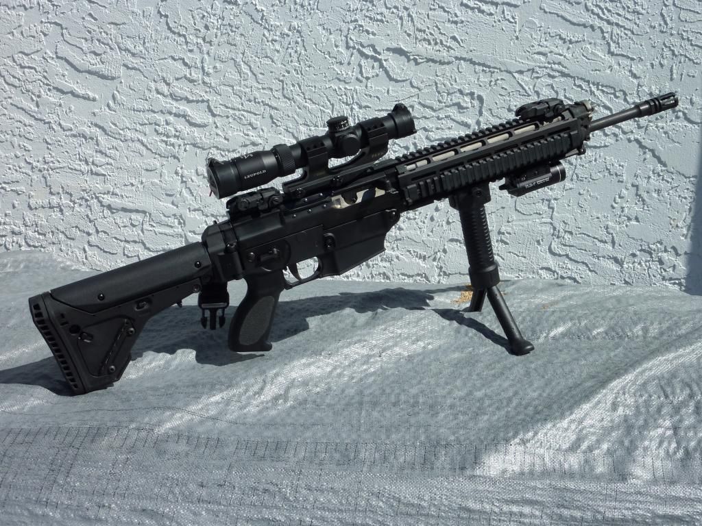 Sig 556 stock options