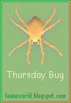 thursday bug meme