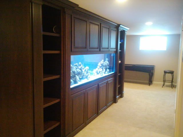 The cherry cabinets are complete and the rock is in the tank. The cherry cabinets are complete and the rock is in the tank.