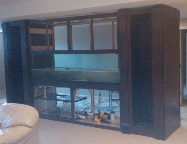 A view of the completed book cases. A view of the completed book cases.