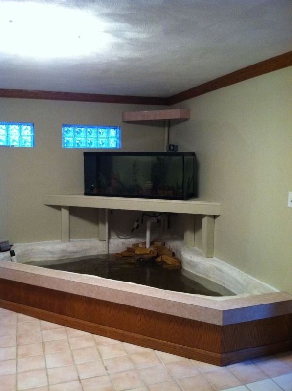 indoor aquarium and pond final install of indoor aquarium and pond