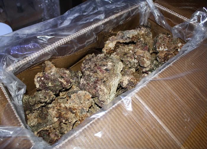 This Fiji rock has great color and no ordor. 50 Pounds of Fiji live rock.