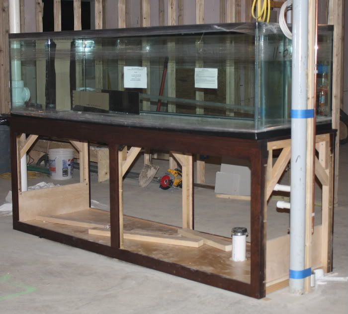 Success! The tank and stand are together and in perfect condition. The tank is finally on the stand.
