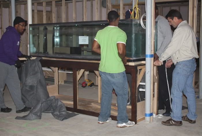 The final challenge was placing the tank on the stand without damaging the wood surface. On the stand.