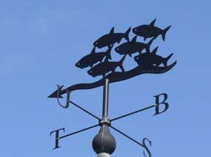 weather vane