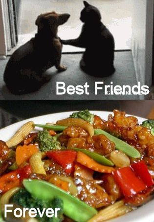 BestFriends.jpg