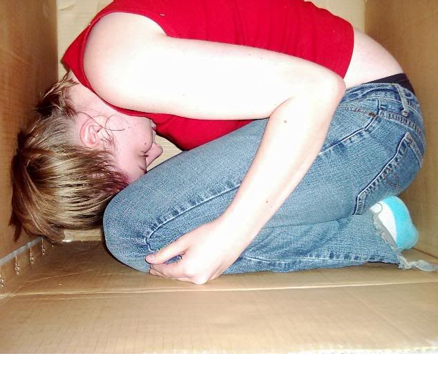 [http://img.photobucket.com/albums/v300/mavispoo/maeve/box.jpg]