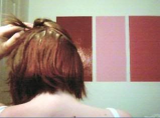 [http://img.photobucket.com/albums/v300/mavispoo/maeve/nose2.jpg]