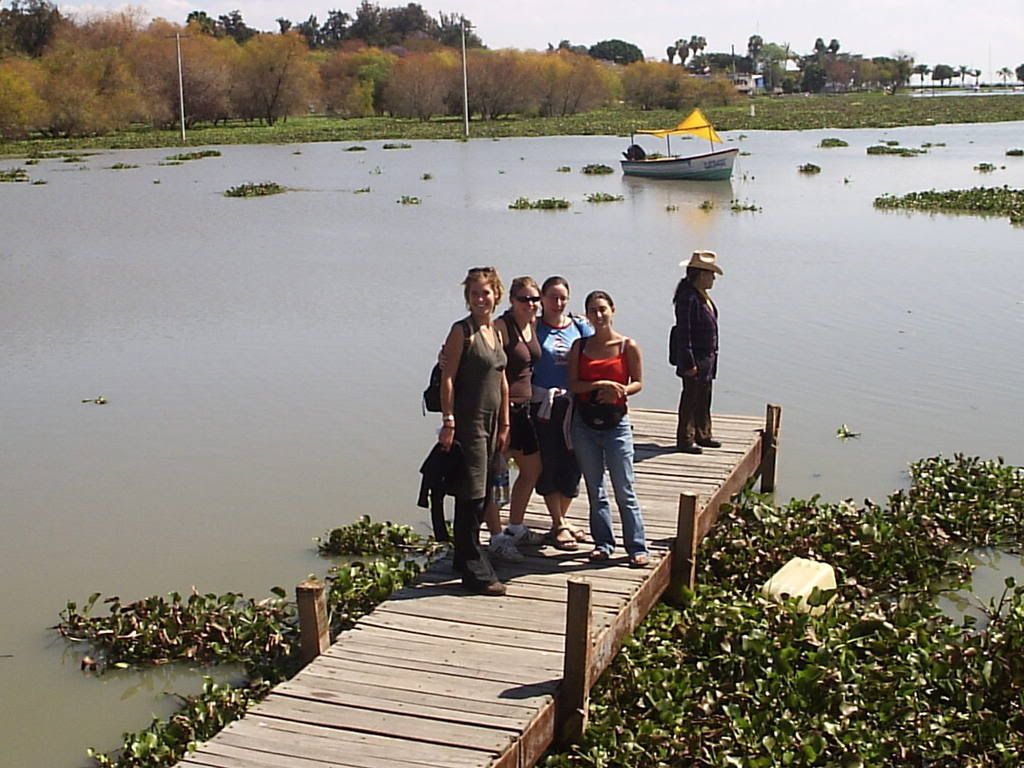 Lake Chapala Most Polluted Lake In Mexico. Strongly Suspect Algae Has