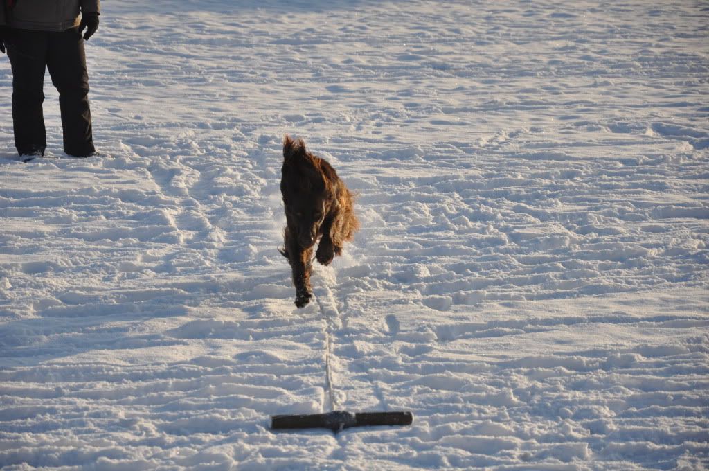 DSC_0960.jpg