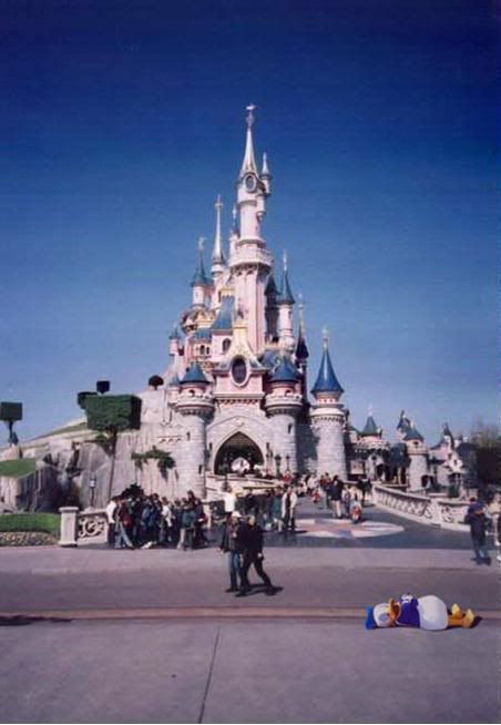 http://img.photobucket.com/albums/v301/bijelaVrana/firstsignodchickenflueinFrance.jpg