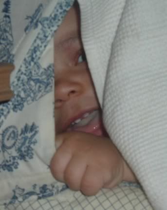 Image hosted by Photobucket.com