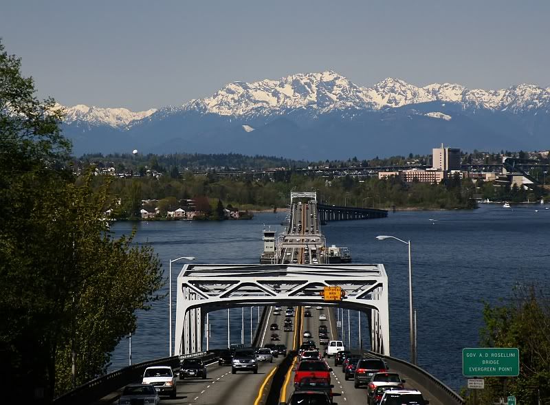 IMAGE: http://img.photobucket.com/albums/v301/squirl033/IMG_1592a_filteredsm.jpg