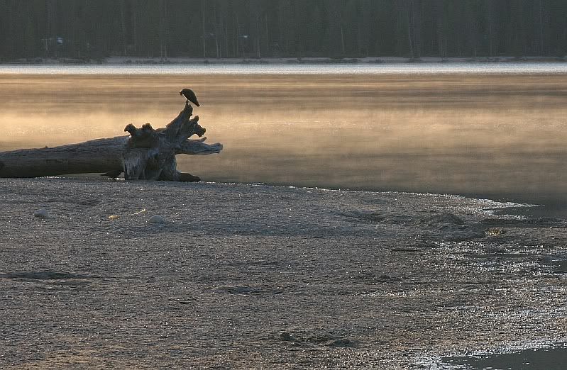 IMAGE: http://img.photobucket.com/albums/v301/squirl033/IMG_7891sm.jpg