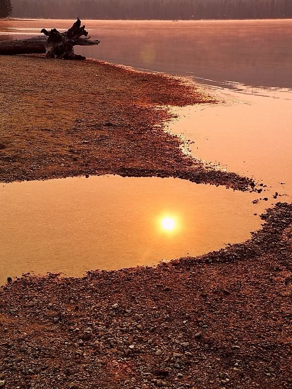 IMAGE: http://img.photobucket.com/albums/v301/squirl033/captivesunsm.jpg