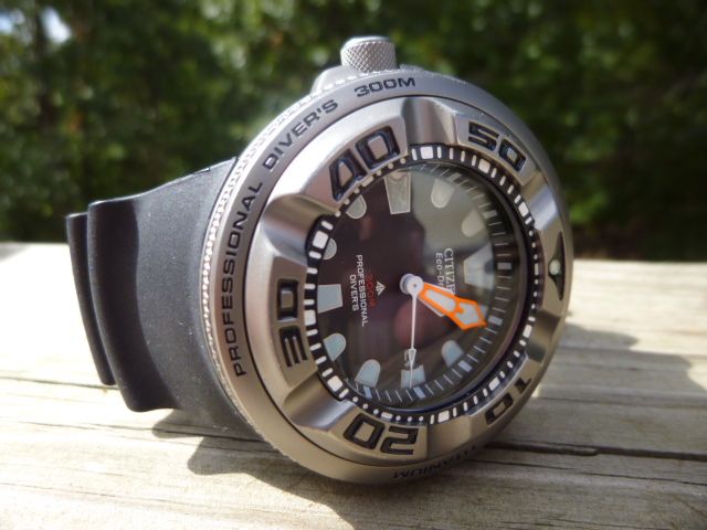 citizen ecozilla titanium for sale