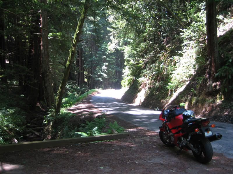 [Linked Image from img.photobucket.com]