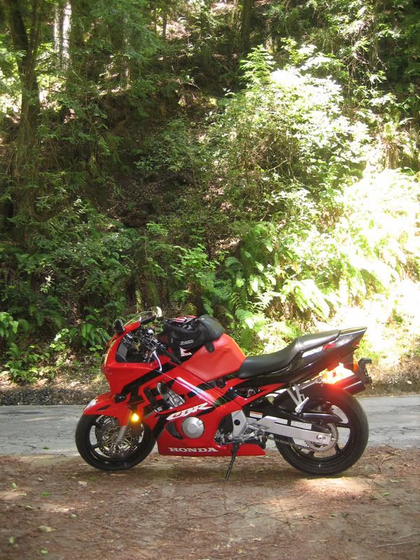 [Linked Image from img.photobucket.com]