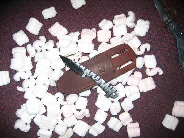 [Linked Image from img.photobucket.com]