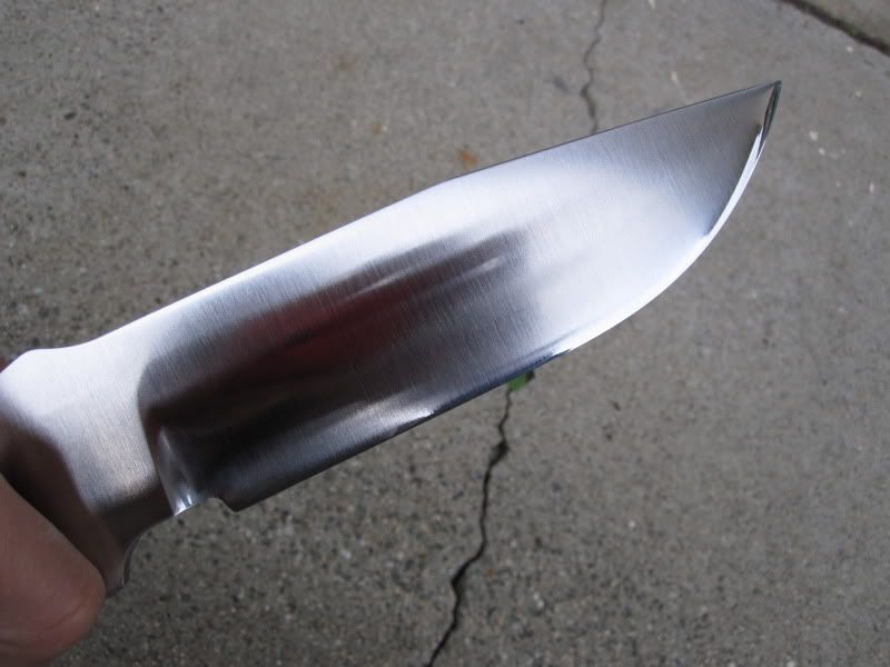 [Linked Image from img.photobucket.com]