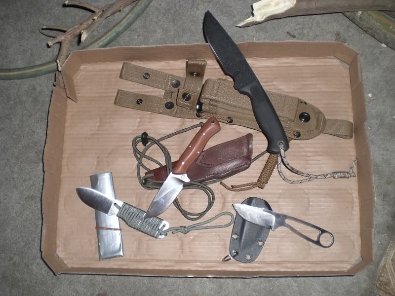 [Linked Image from img.photobucket.com]