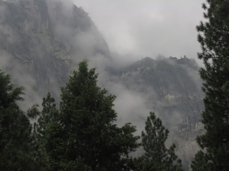 [Linked Image from img.photobucket.com]