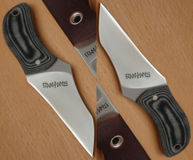 [Linked Image from img.photobucket.com]