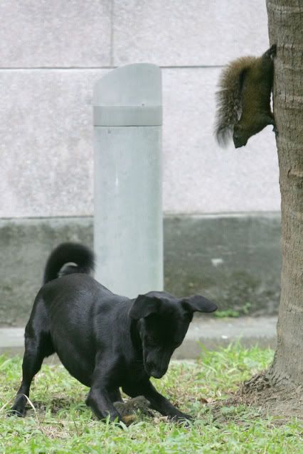 [Linked Image from img.photobucket.com]