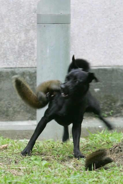 [Linked Image from img.photobucket.com]