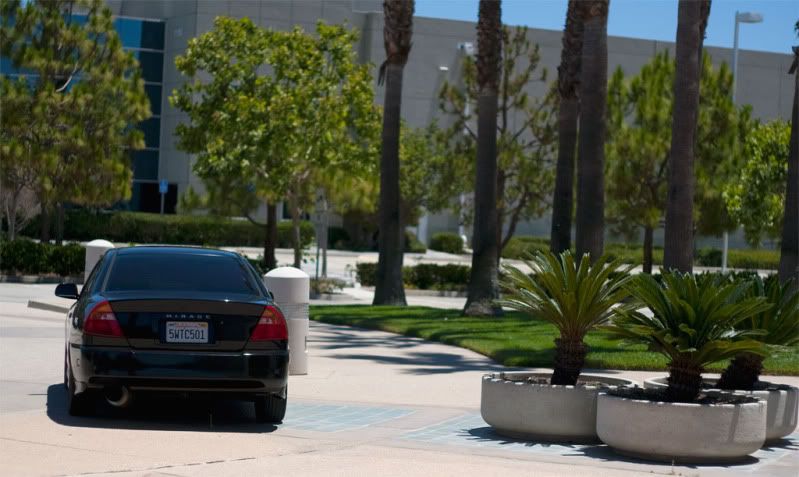 IMAGE: http://img.photobucket.com/albums/v302/blacklancer/brandon_0012.jpg