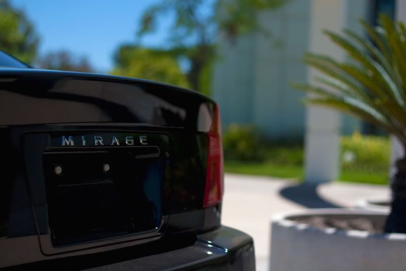 IMAGE: http://img.photobucket.com/albums/v302/blacklancer/brandon_0014.jpg