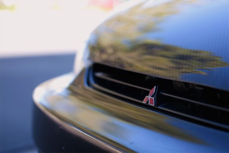 IMAGE: http://img.photobucket.com/albums/v302/blacklancer/brandon_0051.jpg