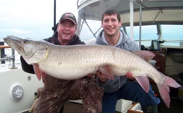 Giant Muskie Caught (Maybe the biggest ever)