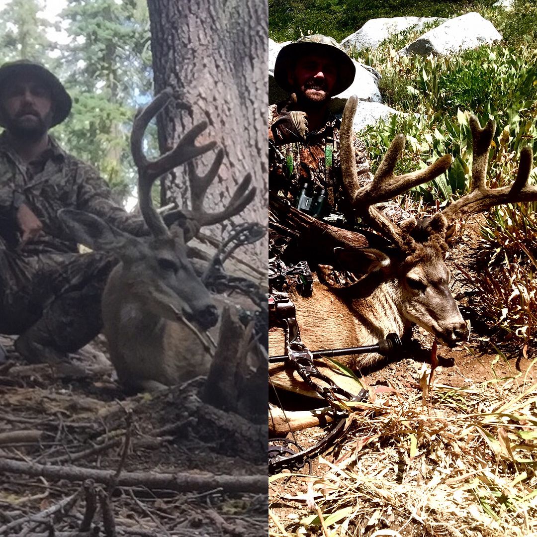 Tagged out archery. Hunt hard. (More pictures)